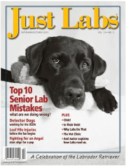 Screen shot 2013-08-09 at 2.22.07 PM