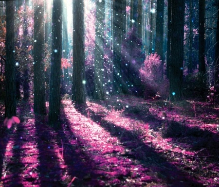 fairytale forest
